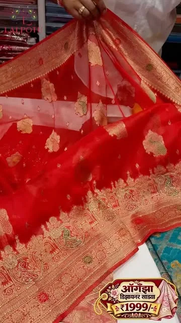 Red and gold organza saree shown in a Lalpotu Collection reel